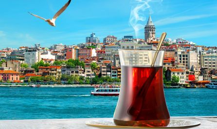 Екскурзия до Истанбул от Варна - градът на два континента